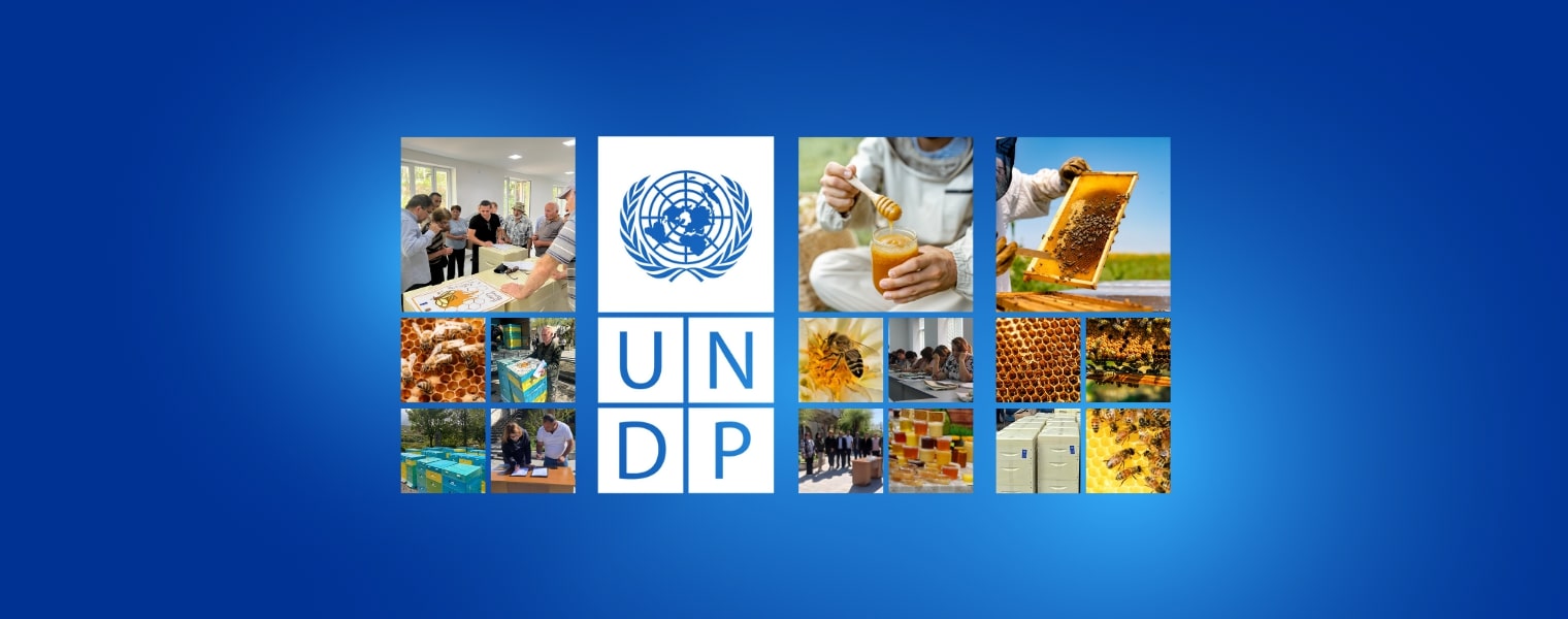 https://sca.mysite.am/wp-content/uploads/2024/05/հանի-մանի.jpg