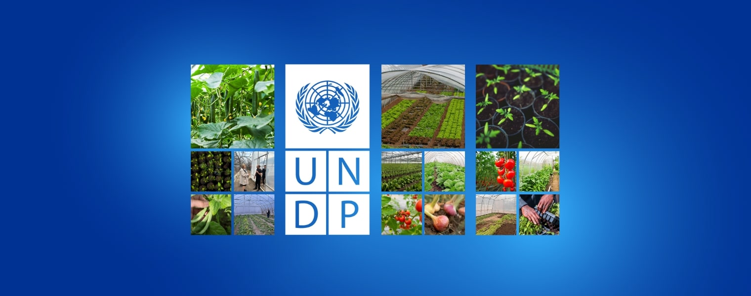 https://sca.mysite.am/wp-content/uploads/2024/05/ջերմատուն.jpg